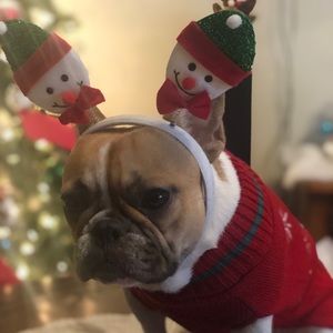 Meet your Posher, Ramona